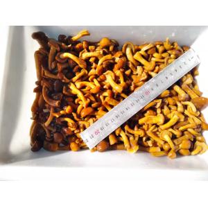 Buy cheap Convenient Frozen Mushrooms in Brine with Long Shelf Life and Delicious Taste for Multiple Uses from wholesalers