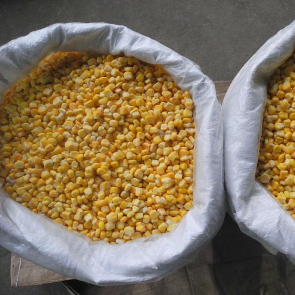 FDA Certified IQF Frozen Vegetables/ Frozen Whole Kernel Sweet Corn For