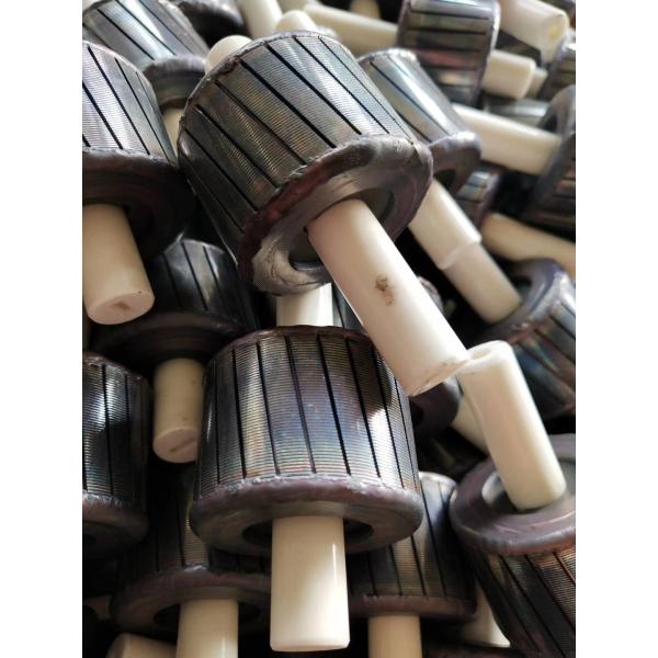 Quality High-Efficiency Laminated Rotor Core with Ceramic Shaft – Low-Loss Silicon-Steel Stack for BLDC Pumps & Fan Motors | Custom OD 20-60 mm for sale