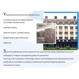 CRANE SCALE Digital Electronic Weighing Industrial Hanging LCD LED Display