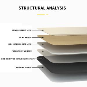 Modern Design PVC Wall Panel with Easy Installation and Multiple Color Options