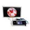 Full HD 1080P ENT Portable Endoscopy Camera With Touchscreen And LED Light Source for sale