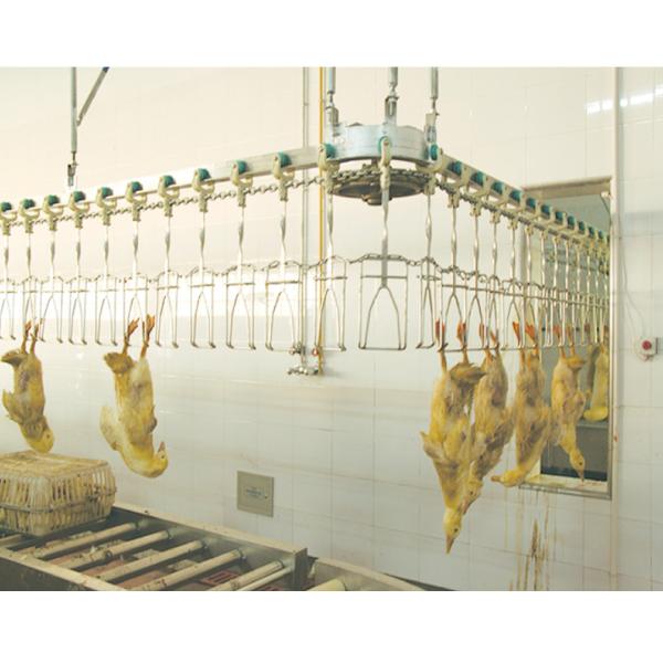 Customized Automatic Halal Poultry Slaughtering Equipment For Chicken Plucking