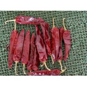 Buy cheap 15000shu Dried Guajillo Chili Red Jinta Chilli Premium Taste from wholesalers