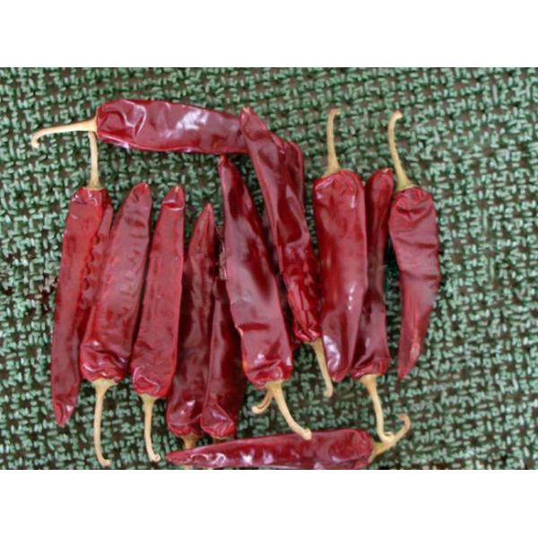 Buy cheap 15000shu Dried Guajillo Chili Red Jinta Chilli Premium Taste from wholesalers