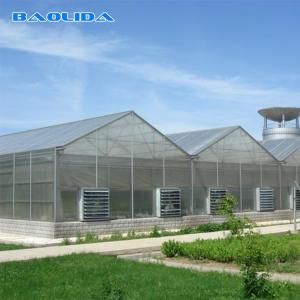 Buy cheap Venlo Type Greenhouse product