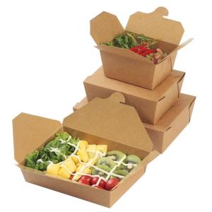 Meal Carton Cardboard Box Manufacturing Machine 220V 50Hz