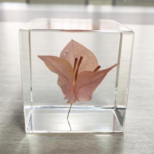 Buy cheap Cubic Flower Paperweight With Dandelion Inside Embed Processing from wholesalers