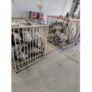 Buy cheap HACCP Approved 10 - 20KG Frozen Yellowfin Tuna WR from wholesalers