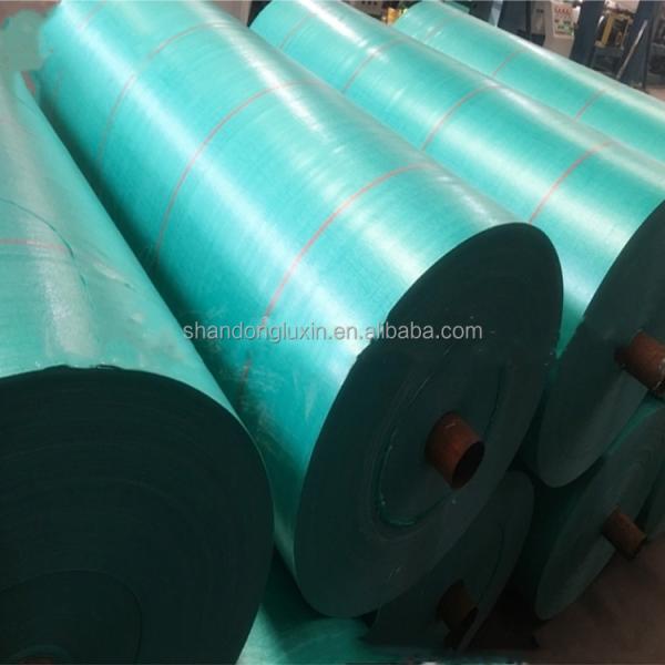 PE Tarpaulin Wide Applicability for Outdoor Umbrella Waterproof Sun Protection Any Size