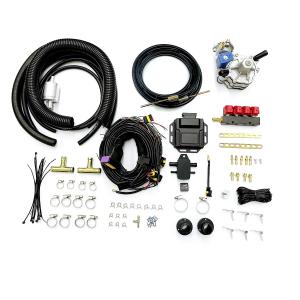 Buy cheap Four Cylinder Car Petrol To LPG Conversion Kit For Sequential Injection System from wholesalers