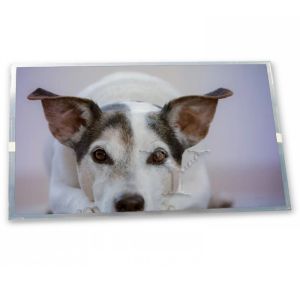 Buy cheap NL2432HC22-44B LCD 3.5-Inch WLED TFT LCD Display Module 240*320 Resolution LCD Modules ODM Supplier from wholesalers