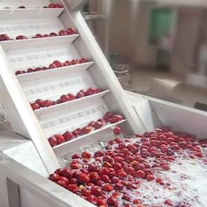 Buy cheap Automatic Jujube Processing Line 50T/H  Extraction And Beating from wholesalers