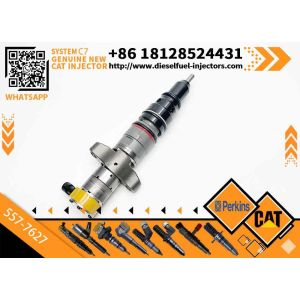 Excavator Engine Parts 263-8218 Common Rail Injector 2638218 557-7627 387-9427