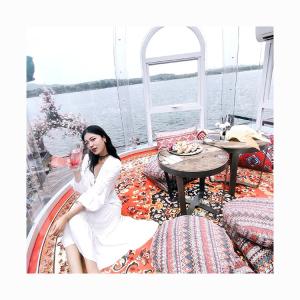 Buy cheap Diameter 2.5m Garden Bubble Tent Sunroom Heat Resistant Bubble Dome Tent from wholesalers