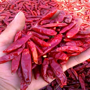 Buy cheap Peppers Chilli Moisture 12%max Moisture Controlled Peppers from wholesalers