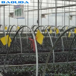 Buy cheap Galvanized Greenhouse Rolling Benches / Greenhouse Benches And Tables from wholesalers