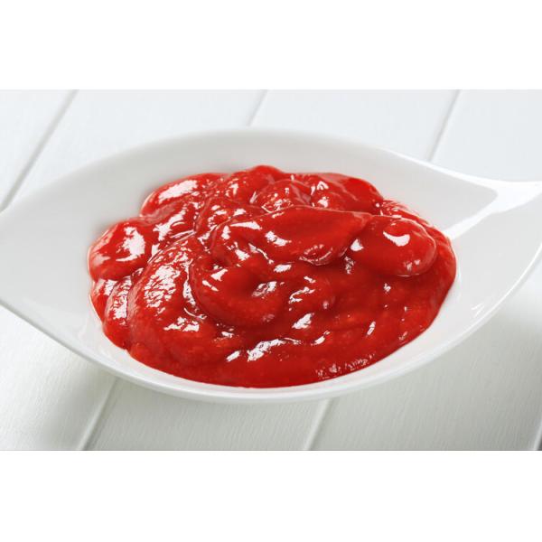Buy cheap Canned Tomato Paste In Sachet Packing 500g With HALAL Certification In 5 CTN from wholesalers