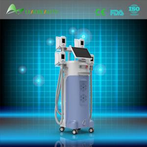 Buy cheap Perfect effect slimming machine cryolipolysis fat freezing equipment from wholesalers