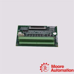 IS230PCAAH1B General Electric Core Analog Module