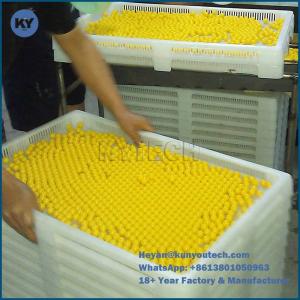 Buy cheap 0.5KW Paintball Sorting Machine from wholesalers