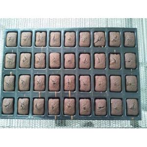 Buy cheap Muffin Cupcake Forming Machine, Custard Cake Forming Machine, Madeleine Cupcake Forming Machine Equipment from wholesalers