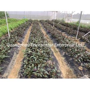 Buy cheap Compostable Weed Barrier Fabric from wholesalers