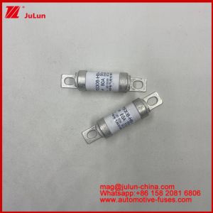 Buy cheap Bolt Fast Fuse 50A 63 80A 100A RS308-HB-4G Ceramic Automotive Fuses For AR Usage 690AC 550VDC JASO D622 Certification from wholesalers