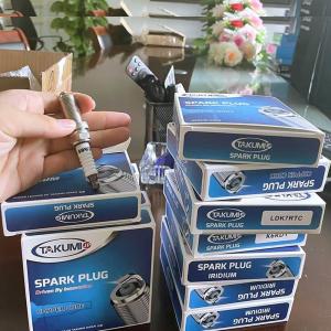 19mm Reach Copper Generator Spark Plug with Projected Projection