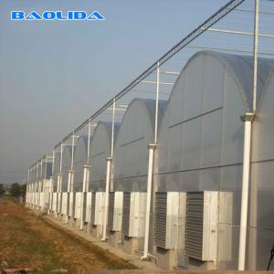 Prefabricated Tomato Tunnel Multi Span Greenhouse Different Vegetables Support