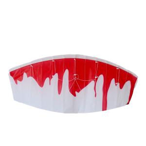Buy cheap 160*60cm Parafoil Stunt Kite With 2*50m String Line Oem / Odm Acceptable from wholesalers
