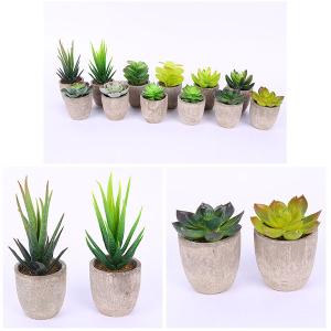 Buy cheap Mini Succulent Artificial Potted Plants Strange Shape Green Platsic Material from wholesalers