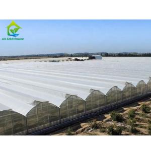 Buy cheap Tunnel Tomato Cooling System Multi Span Greenhouse Agriculture Commercial from wholesalers