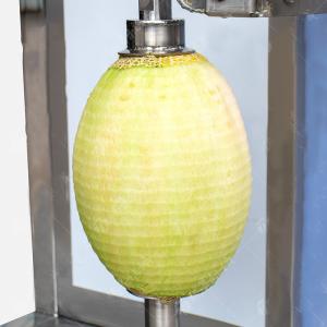 Automatic Vegetable & Fruit Cutting Washing Production Line, Salad Vegetable