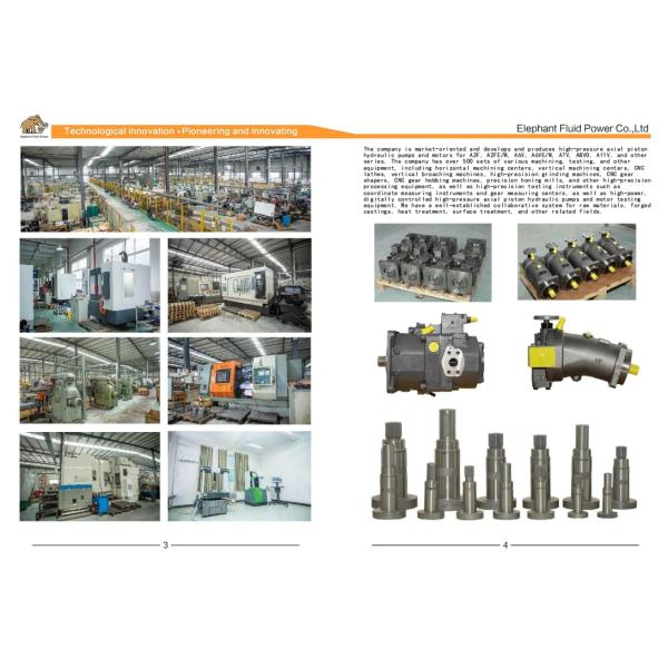 A11VO series hydraulic pump installation example