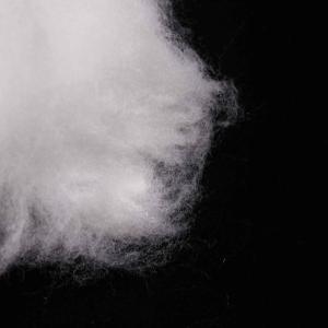 Buy cheap Propylene Side By Side Artificial Lightweight Polyester Staple Fibres For Face product