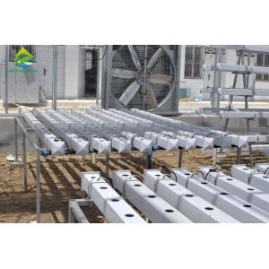 Buy cheap Greenhouse Vertical Soilless Hydroponic System Hydroponic Growing Equipment from wholesalers