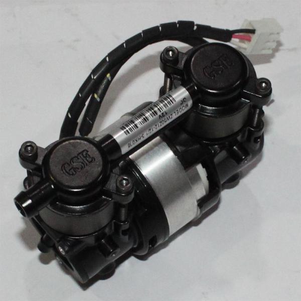 DC12V Oxygen Concentrator Compressor GSE Oxygen Concentrator And Compressor For