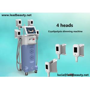 Buy cheap 4 handles fat freezing / cryolipolysis slimming  machine / -15℃ fat freezing body sculpting slimming  machine 12 inch from wholesalers