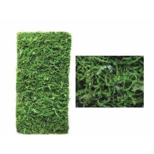 Buy cheap High Simulation Tranquilizing Green Artificial Tree Bark for Benefit product