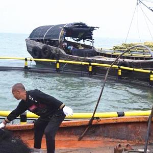 Buy cheap HDPE Circular Fish Cage 13m-50m Diameter for Aquaculture from wholesalers