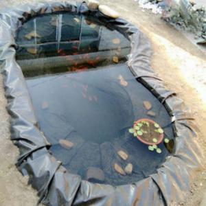 Modern Design Anti-Seepage Geomembrane Fish Pond Liner 0.5mm 1mm with Tear