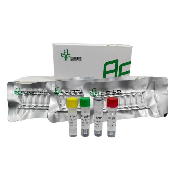 Buy cheap High Sensitivity DNA Rapid Isothermal Amplification Kit Basic from wholesalers