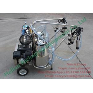 Buy cheap Automated Gasoline Engine Mobile Milking Machine Dairy Milking Equipment from wholesalers