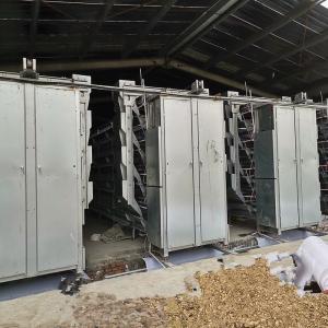 Buy cheap Layer Raising Poultry Manure Removal System 1.2mm PP Belt ISO9001 Approval from wholesalers