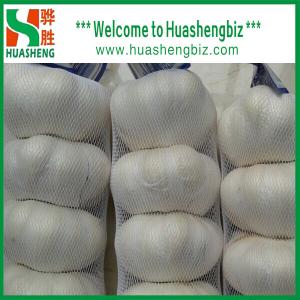 Buy cheap Fresh White Garlic from wholesalers