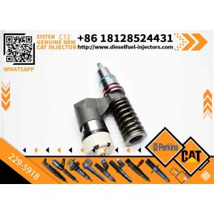 Buy cheap New Common Rail Fuel Injector 223-5328 229-5918 20R-0055 10R-0725 for C12 Diesel Engine from wholesalers