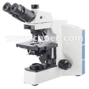 Infinity Binocular Compound Microscope With Infinity Plan Objective A12.0908