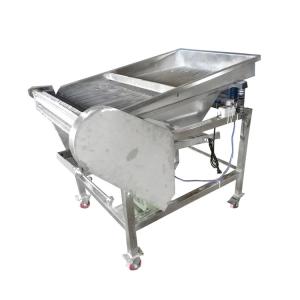 Electric Automatic Fruit Vegetable Processing Equipment Bean Sheller Machine
