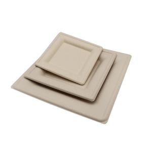 6in White Compostable Disposable Biodegradable Sugarcane Bagasse Plates